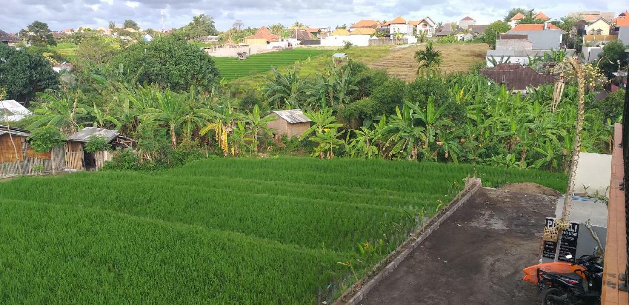 Pd Bali Guesthouse Canggu Esterno foto